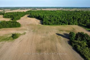 Farm for Sale, 33875 FIFTH Line, Southwold, ON