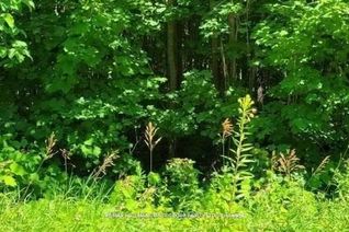 Vacant Residential Land for Sale, 0 Luffman Rd, Tweed, ON