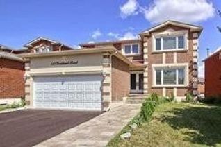 House for Rent, 117 Yorkland St #Bsmt, Richmond Hill, ON