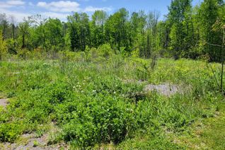 Vacant Residential Land for Sale, 0 Francis St, Madoc, ON