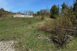 Commercial Land for Sale, 115 Brewster Lake Road, Singhampton, ON