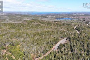 Commercial Land for Sale, 2 Wood Lots Salmon River Road, L'Ardoise, NS