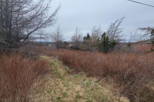 Commercial Land for Sale, 390 Main Street, Burin, NL