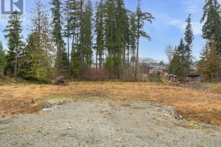 Commercial Land for Sale, Lot B Raleigh Ave, Port Alberni, BC