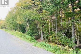 Land for Sale, 85-41 Bunker Hill Road, Wilsons Beach, NB