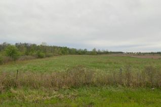 Commercial Land for Sale, 00 #53 Highway, Cayuga, ON