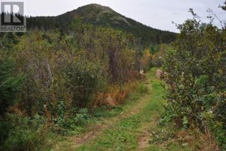 Land for Sale, 798-810 Pouch Cove Line, Pouch Cove, NL