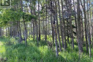 Land for Sale, 23 Grove Lane, Rural Rocky View County, AB