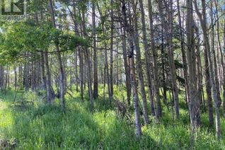 Commercial Land for Sale, 23 Grove, Rural Rocky View County, AB