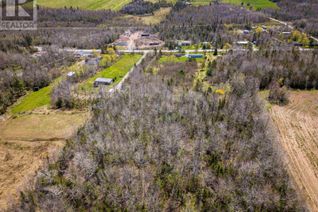 Property for Sale, 3 Lots Highway 2, Milford, NS