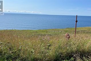 Commercial Land for Sale, 0 Oceanview Drive, Cape St George, NL