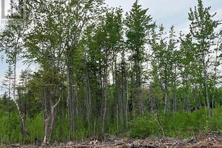 Vacant Residential Land for Sale, 24-03 Chultun Crt, Lower Coverdale, NB