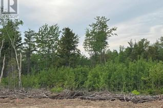 Land for Sale, 24-02 Chultun Crt, Lower Coverdale, NB