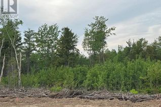 Land for Sale, 24-02 Chultun Court, Lower Coverdale, NB