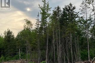 Land for Sale, 24-01 Chultun Crt, Lower Coverdale, NB