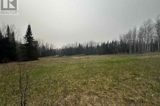 Land for Sale, 820 Dog Lake Rd, Thunder Bay, ON