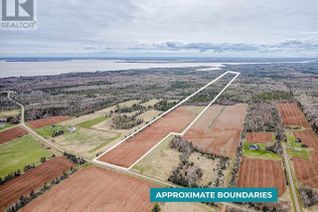 Commercial Land for Sale, Primrose Road #Acreage, Launching, PE