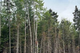 Vacant Residential Land for Sale, Lot 24-05 Chultun Crt, Lower Coverdale, NB