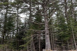 Land for Sale, No 103 Highway, Western Shore, NS