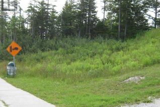 Commercial Land for Sale, 196 Massey Drive, Massey Drive, NL