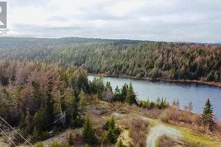 Land for Sale, Lot 2 Lilly Pond Road, Carbonear, NL
