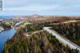 Commercial Land for Sale, Lot 3 Lilly Pond Road, Carbonear, NL