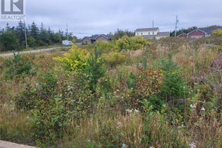 Land for Sale, 1 Ridgeview Avenue, Stephenville, NL