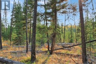 Commercial Land for Sale, Lot 12 Brown Road #PROP, Bridge Lake, BC