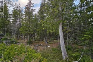 Commercial Land for Sale, Lt 254 Pl 433 Dorcas Bay Road, Northern Bruce Peninsula, ON