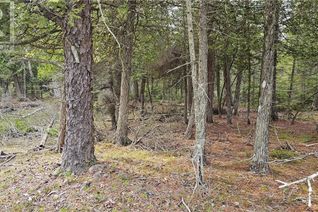 Commercial Land for Sale, Lt 255 Pl 433 Pedwell Pt Drive, Northern Bruce Peninsula, ON