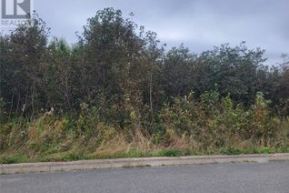 Land for Sale, 2 Ridgeview Avenue, Stephenville, NL