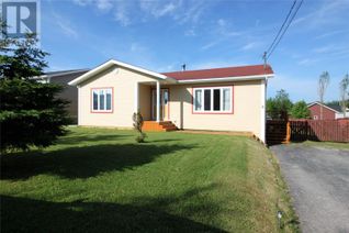 Bungalow for Sale, 8 Wallace Place, Deer Lake, NL