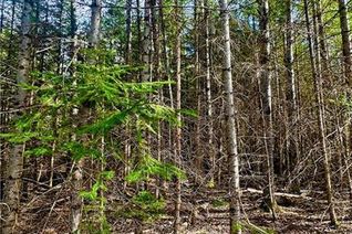 Property for Sale, 0 Anderson Road, Plaster Rock, NB