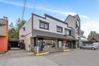 Commercial/Retail Property for Sale, 12852 16 Avenue, Surrey, BC