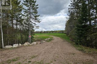 Land for Sale, 364 Trunk Road, Bonfield, ON