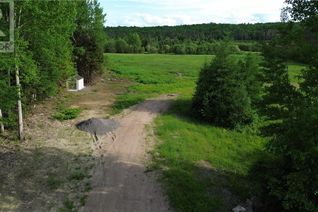 Commercial Land for Sale, 364 Trunk Road, Bonfield, ON