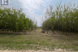 Commercial Land for Sale, 523 Lakeside Street S, St. Brieux, SK