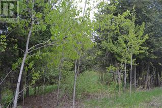 Land for Sale, 00 Whelan Road, Renfrew, ON