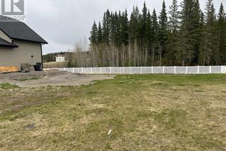 Property for Sale, 355 Elizabeth Avenue, Nordegg, AB