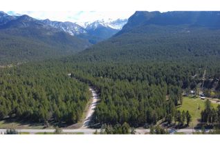 Land for Sale, Lot 7 Crooked Tree Road, Windermere, BC