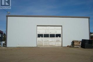 Commercial/Retail Property for Sale, 202 Elevator, Trochu, AB