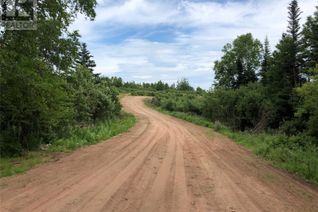 Commercial Land for Sale, 18a Forest Road, Reidville, NL