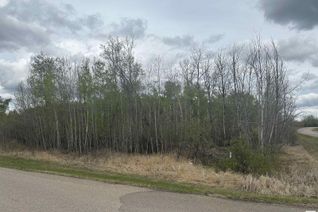 Commercial Land for Sale, 111 62212 Rge Rd 412, Rural Bonnyville M.D., AB