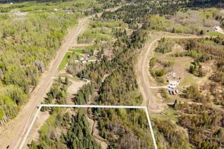 Commercial Land for Sale, Lot 62 115025 Township Road 584, Rural Woodlands County, AB