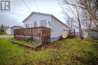 Detached House for Sale, 39a Fifth Avenue Extension, Deer Lake, NL
