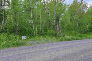 Commercial Land for Sale, 4 Mattatal Branch Road, West Tatamagouche, NS