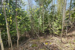 Vacant Residential Land for Sale, Lot 206 Estate Drive, Anglemont, BC