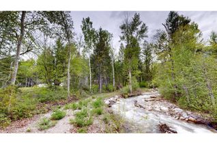 Vacant Residential Land for Sale, Lot 3/5 Galena School Road, Spillimacheen, BC