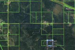 Land for Sale, Se 1/4 Of S 1/2 Lt 9 Con 3, Brower Twp, Cochrane, ON