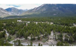 Vacant Residential Land for Sale, 2088 Kootenay #3 Road, Windermere, BC